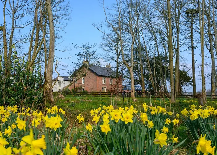 The Bothy Cottage